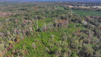 465 N Ann St, Eclectic, AL 36024