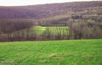 Lot #5 Belmont Turnpike, Waymart, PA 18472