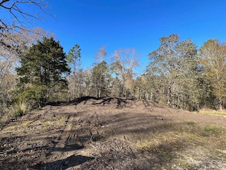 10130 Peach Rd, Lumberton, TX 77657