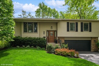 153 E Timberlane Dr, Palatine, IL 60067
