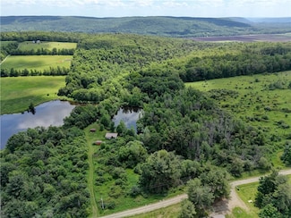 7650 Faber Rd, Prattsburgh, NY 14873