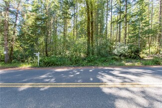 520 NE Dewatto Rd, Tahuya, WA 98588