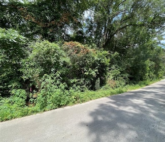 181 Maple Ln, Woodbranch, TX 77357
