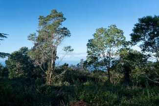 75-1300 Keopu Mauka Dr Unit Lot 8, Holualoa, HI 96725