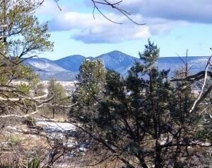 4R-5 N Ike Clark Pkwy, Young, AZ 85554