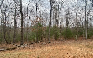 Lot 8 Tomahawk Trail, Blairsville, GA 30512
