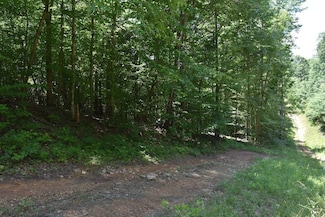 0 Wards Rd Unit LotWP001 20371941, Mount Sherman, KY 42764
