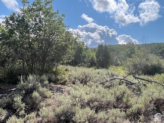 2325 Westview Dr Unit 1355, Heber City, UT 84032