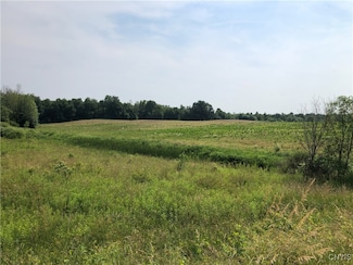 7 Dutch Ridge Rd, Oswego, NY 13126