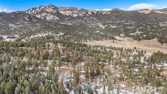 12362 S Polly Dr, Pine, CO 80470