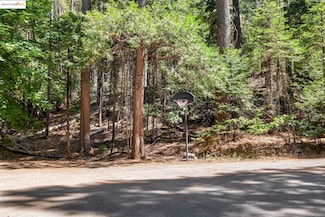 17067 Pony Tail Ct, Cedar Ridge, CA 95370