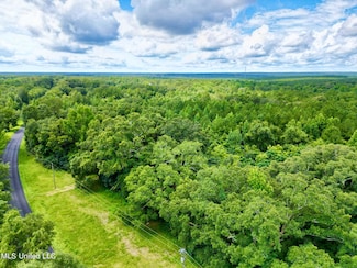 190 Gumpond Beall Rd, Lumberton, MS 39455