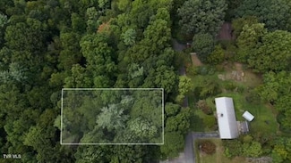 Tr 14 Pine Forest Ln, Unicoi, TN 37601