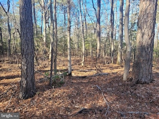 Lot 20 Orange Dr, Hague, VA 22469