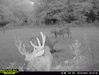 000 County Highway 7, Cisne, IL 62823