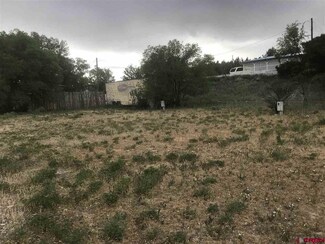 0 Spruce Ln Unit 745677, Crawford, CO 81415