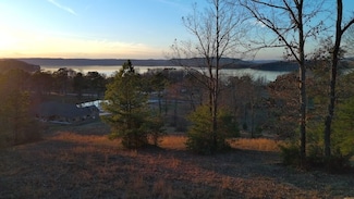 0 County Road 67 Unit LotWP001 22974245, Section, AL 35771