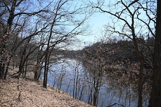 TBD Odin Ct, Moran Township, MN 56438