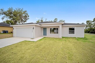 98 Malauka Loop, Ocklawaha, FL 32179