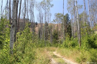 20054 State Route 20, Twisp, WA 98856