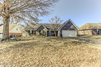 6665 Sassafras St, Olive Branch, MS 38654