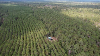 00000000 Gates Rd, Daisetta, TX 77533