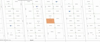 0000 David Ave, Interlachen, FL 32148