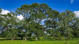 (TRACT 1) 1050 Farm To Market Road 2104, Smithville, TX 78957