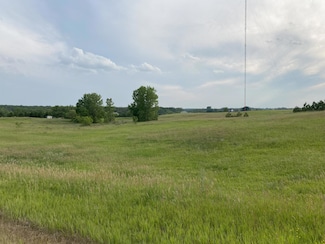 LOT 3 Block 2 Tasha Dr, Ida Township, MN 56332