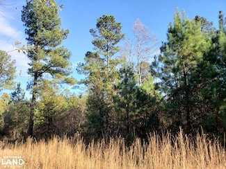 000 County Road 35, Midway, AL 36053