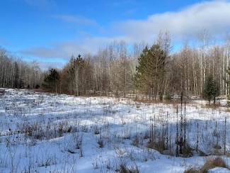 0 Big Cub Trail, Laona, WI 54541