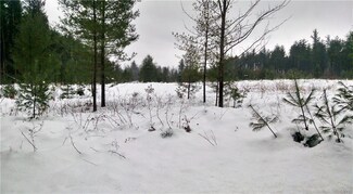 1111 Effley Falls Rd, Croghan, NY 13327