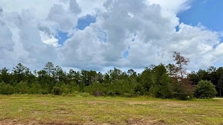 13220 Blackberry Dr, Lumberton, TX 77657