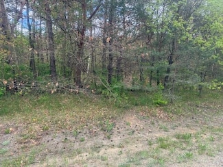 0 S Ironwood Ave Unit B 24023240, Grant Township, MI 49327
