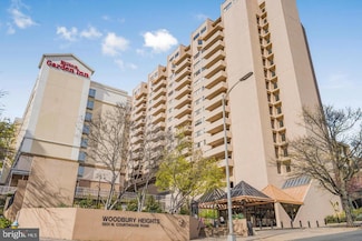 1301 N Courthouse Rd Unit 802, Arlington, VA 22201