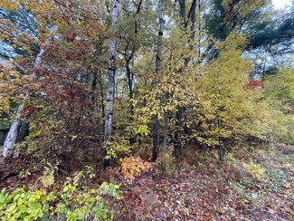 Lot 757 S Tower Hill Rd, Houghton Lake, MI 48629