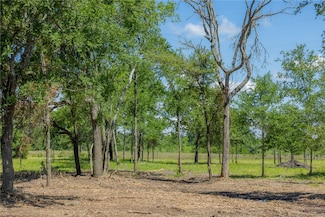 6575 Atakapan Trail, Bedias, TX 77831