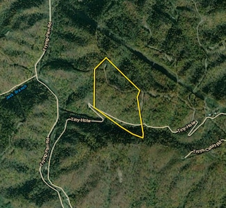 00 Tiny Hollow, Birchleaf, VA 24217