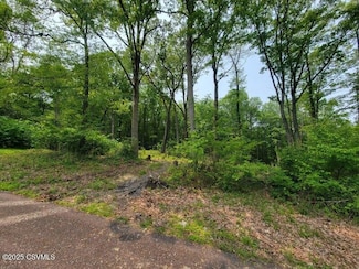 LOT 5 Woodland Rd, Mount Carmel Township, PA 17851