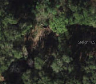 0 SE 131st Place Unit OM634733, Belleview, FL 34420