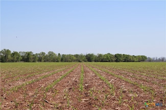 TBD County Road 301, Marlin, TX 76661