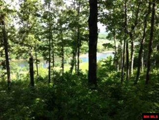 LTS 91,92,93 Melba Ave, Cotter, AR 72626