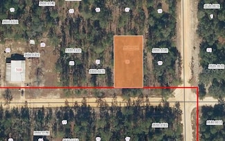 502 Nova Scotia St, Interlachen, FL 32148
