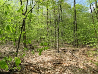 0 Jackson Summit Rd Unit 16734474, Mayfield, NY 12117