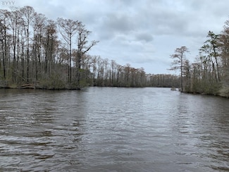 238 Plumtree Cir, Edenton, NC 27932