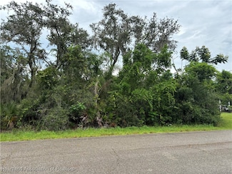 1047 Pin Oak St, Lake Placid, FL 33852