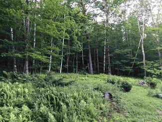 560 Rounds, Starksboro, VT 05487
