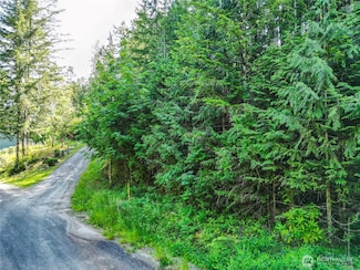 0 Creek Ct, Brinnon, WA 98320