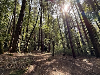 00 Slate Creek Rd, La Honda, CA 94020