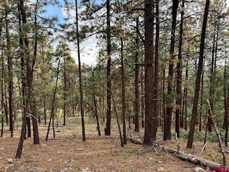 259 Hillside Cir, Bayfield, CO 81122